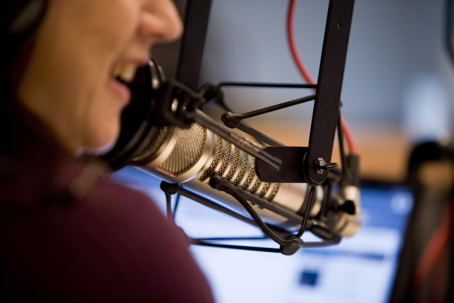 What makes a good speaking voice?