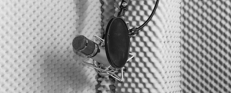 Microphone with pop filter in the acoustically treated recording booth