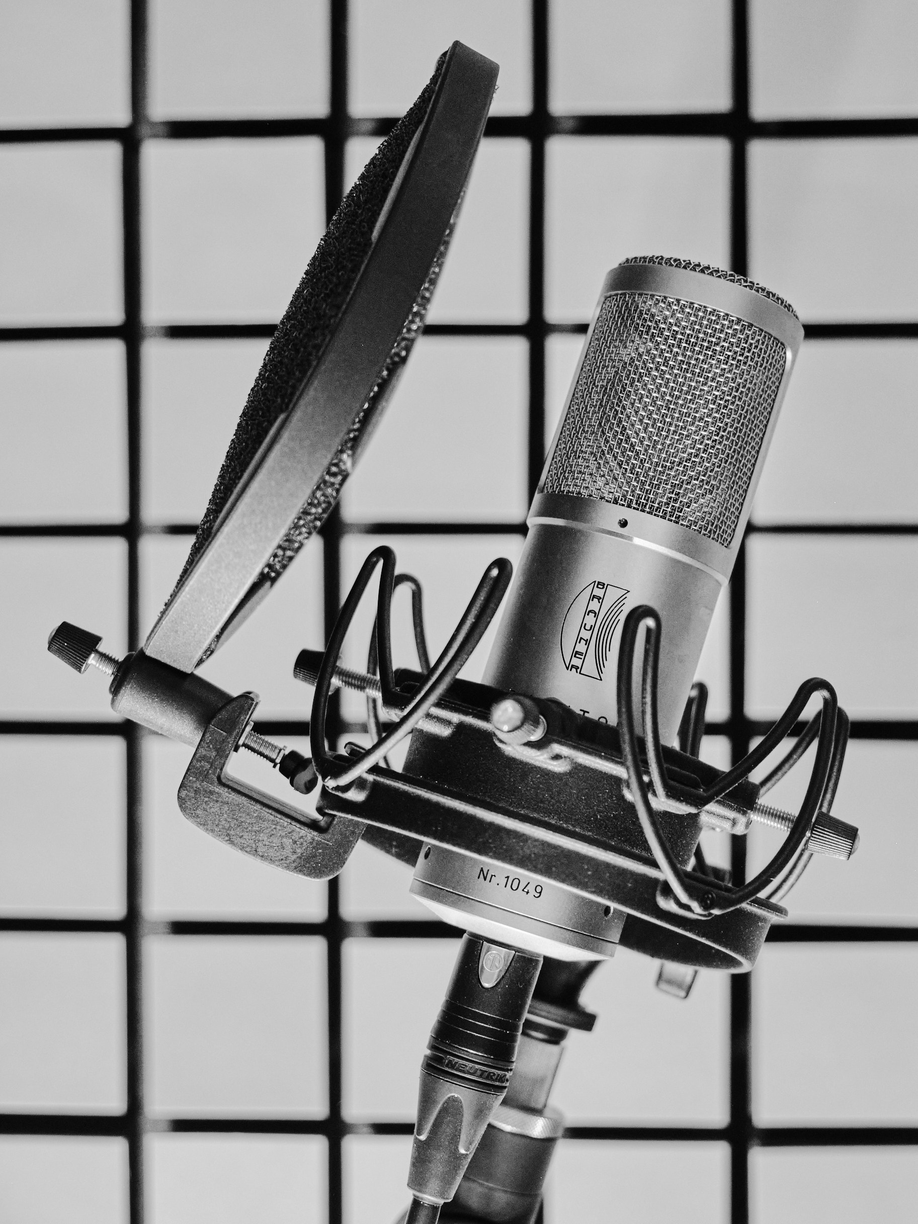 Large-diaphragm microphone Brauner Phantom Classic with pop shield in the recording booth